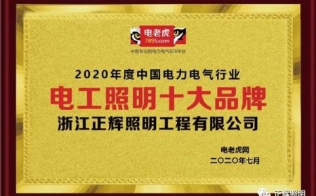 品牌榮譽(yù)！祝賀浙江正輝照明榮膺2020年“電工照明十大品牌”